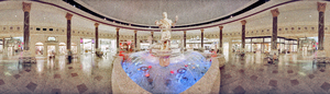 710554-Thumbnail Image.png