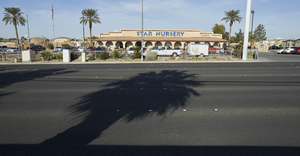 727365-Thumbnail Image.png