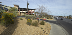727556-Thumbnail Image.png