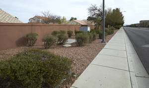 727570-Thumbnail Image.png