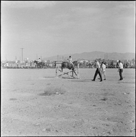 Set of photographs including a wrecked truck for Ray's father, Wilma Prudhummne, a horse jumping, Trena, and Loronza Calhumn
