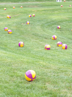 836456-Thumbnail Image.png