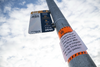 913365-Thumbnail Image.png