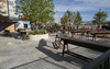 913515-Thumbnail Image.png