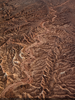 913831-Thumbnail Image.png