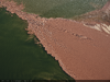 913848-Thumbnail Image.png