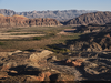 913898-Thumbnail Image.png
