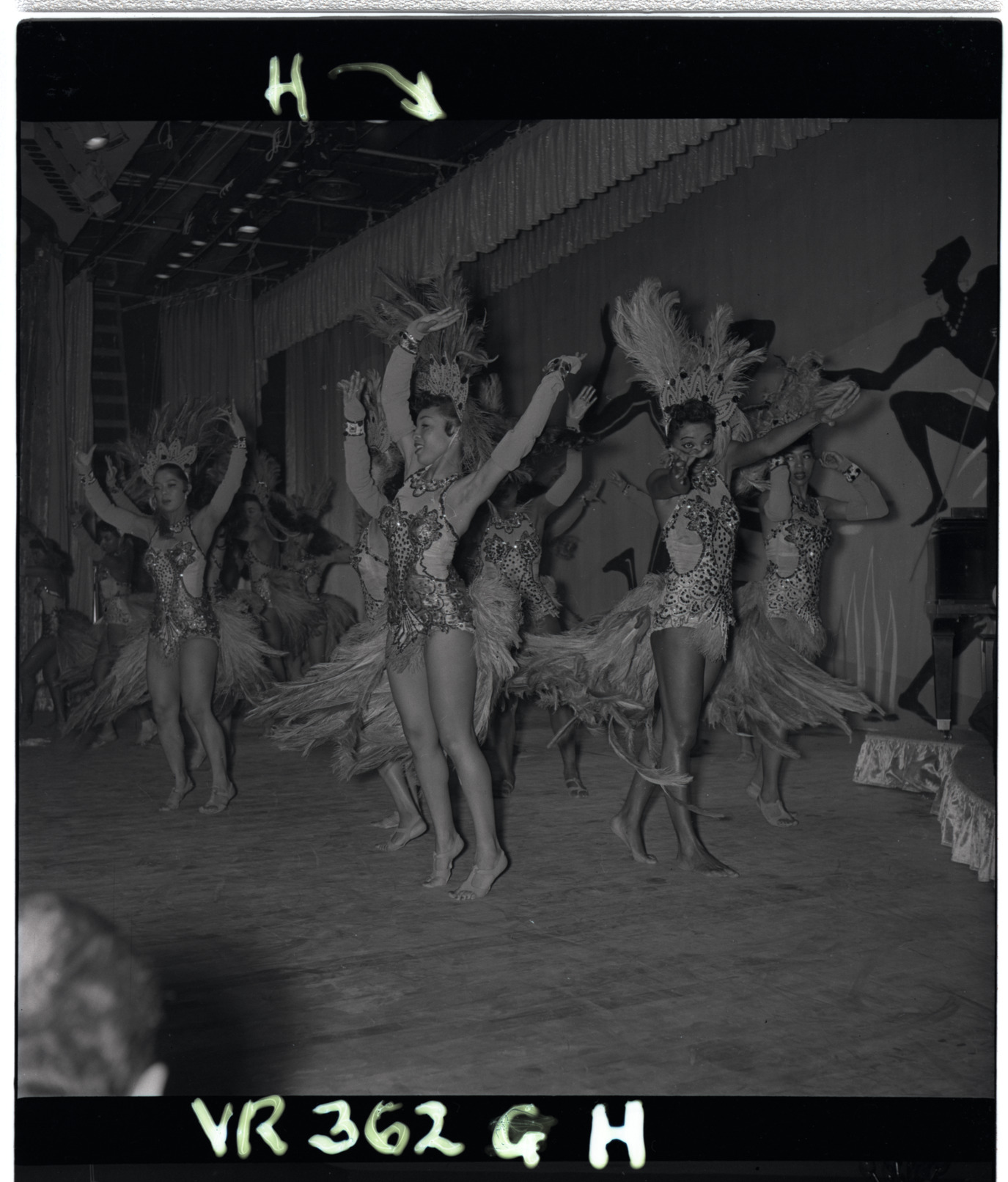 Watusi, Image 01