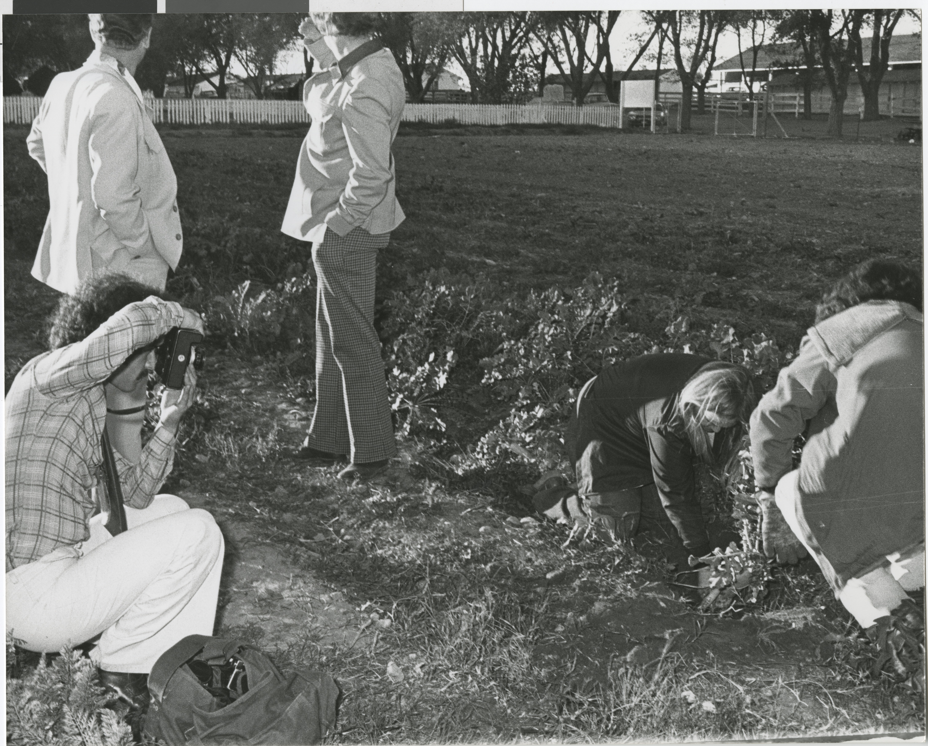 Photograph of community members planting trees and vegetables