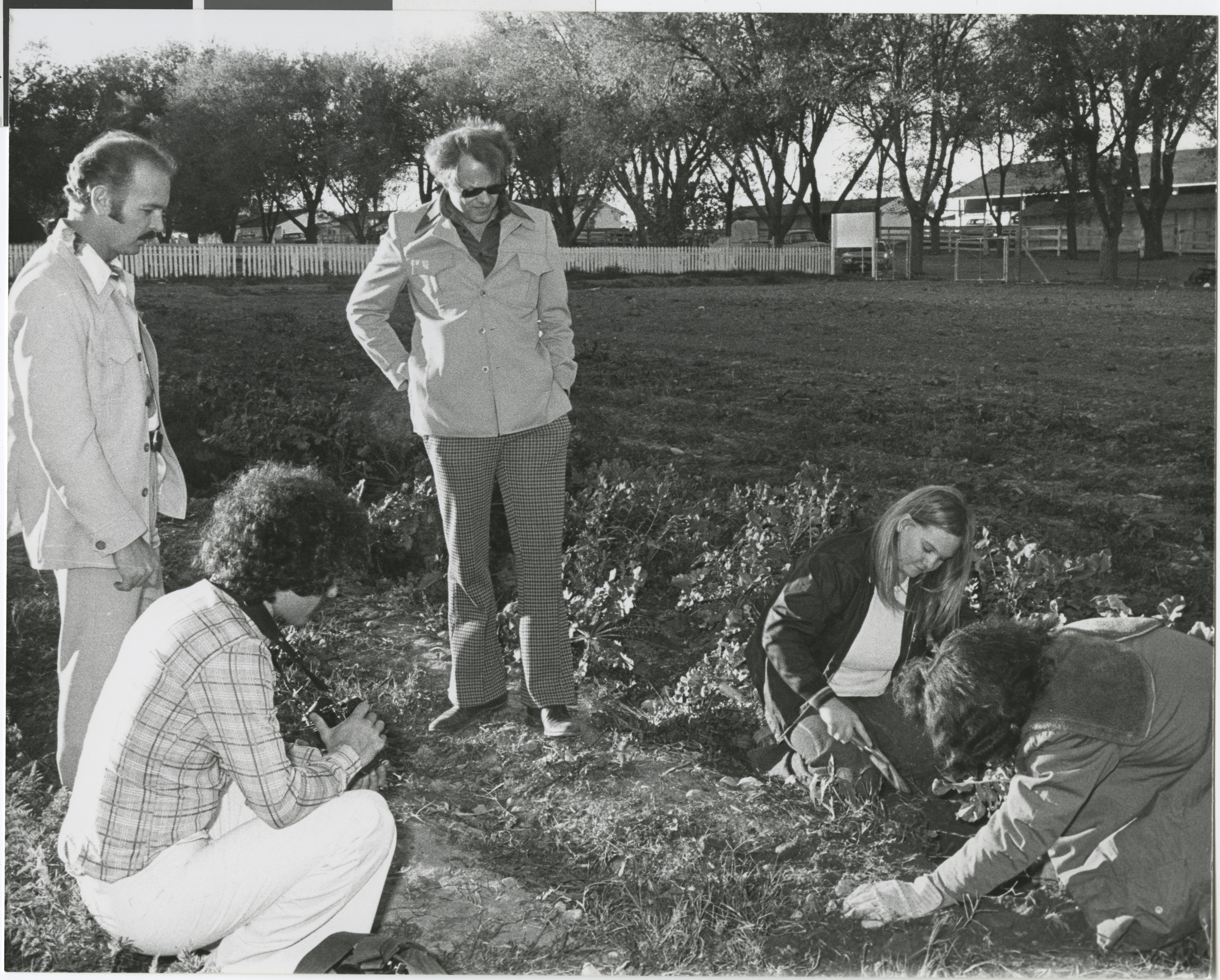 Photograph of community members planting trees and vegetables