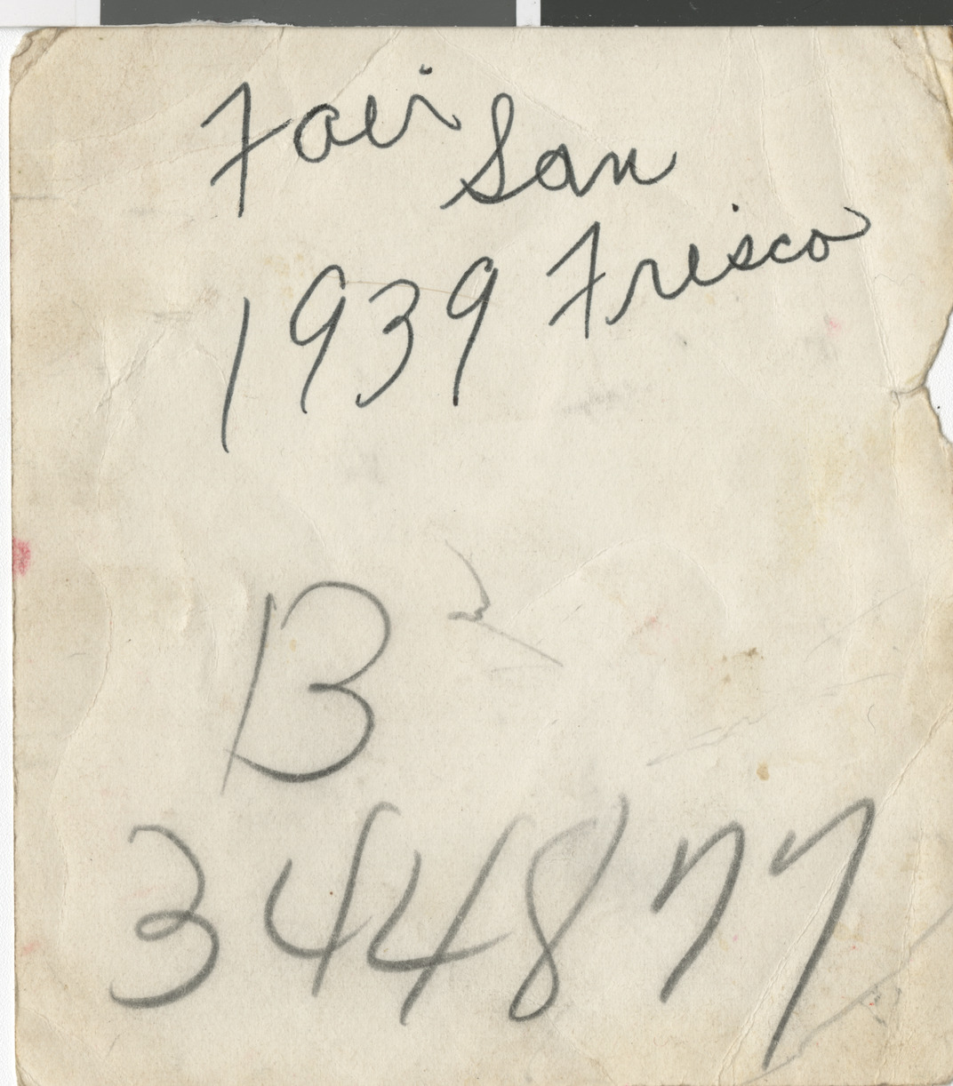 Eileen Brookman photographs, image 1 (back)