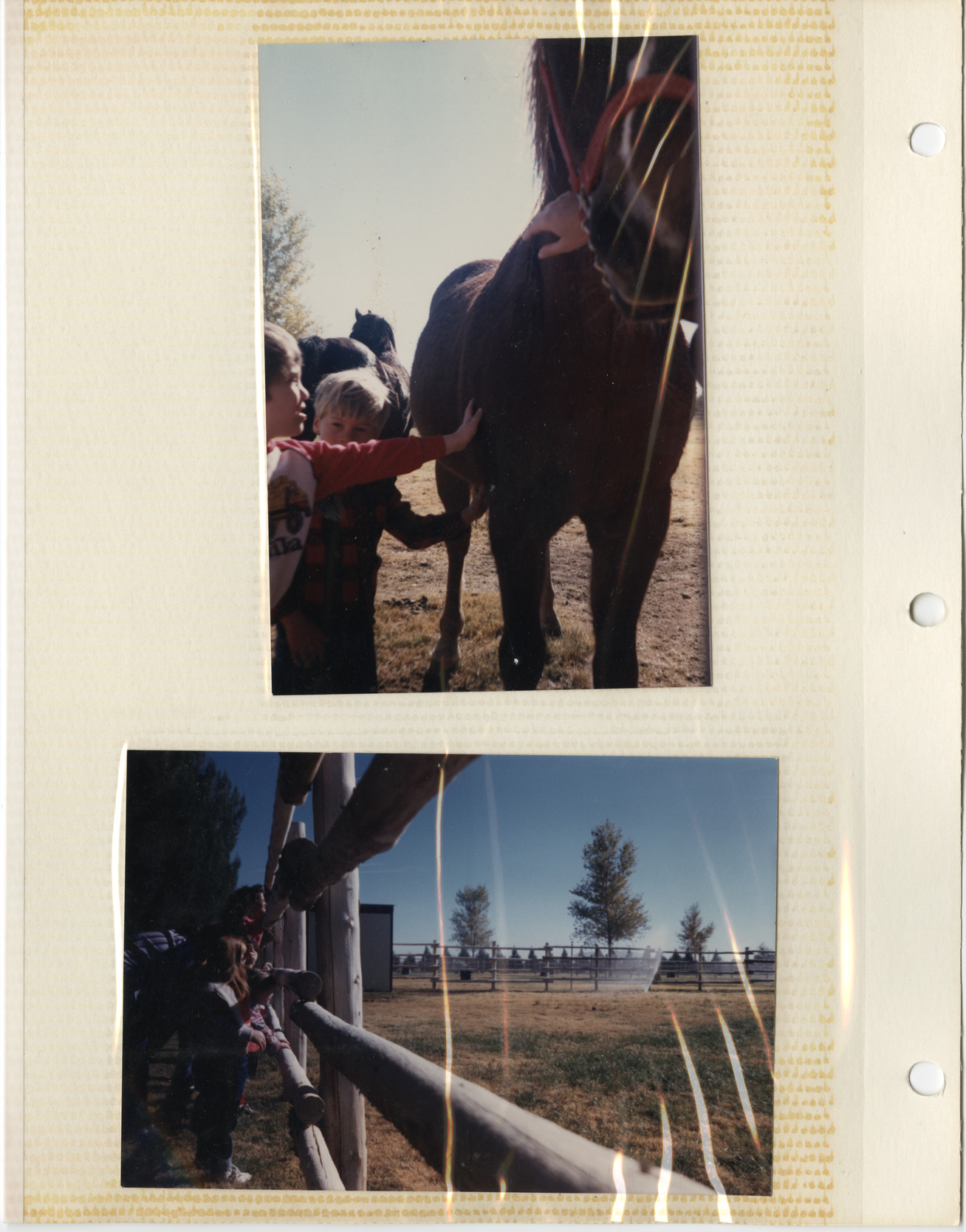 Temple Beth Sholom Preschool photo album, page 10
