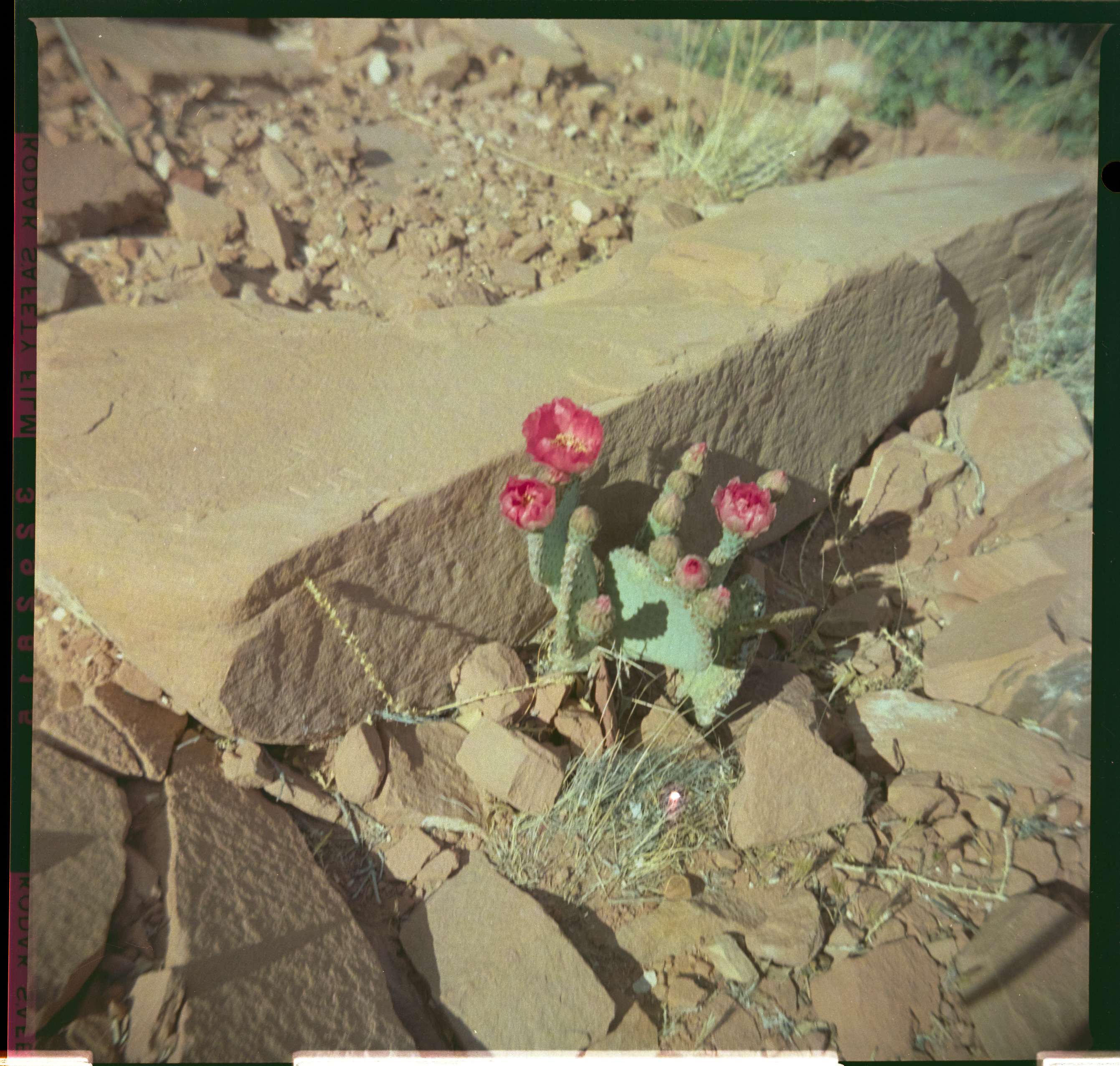 man000146-002