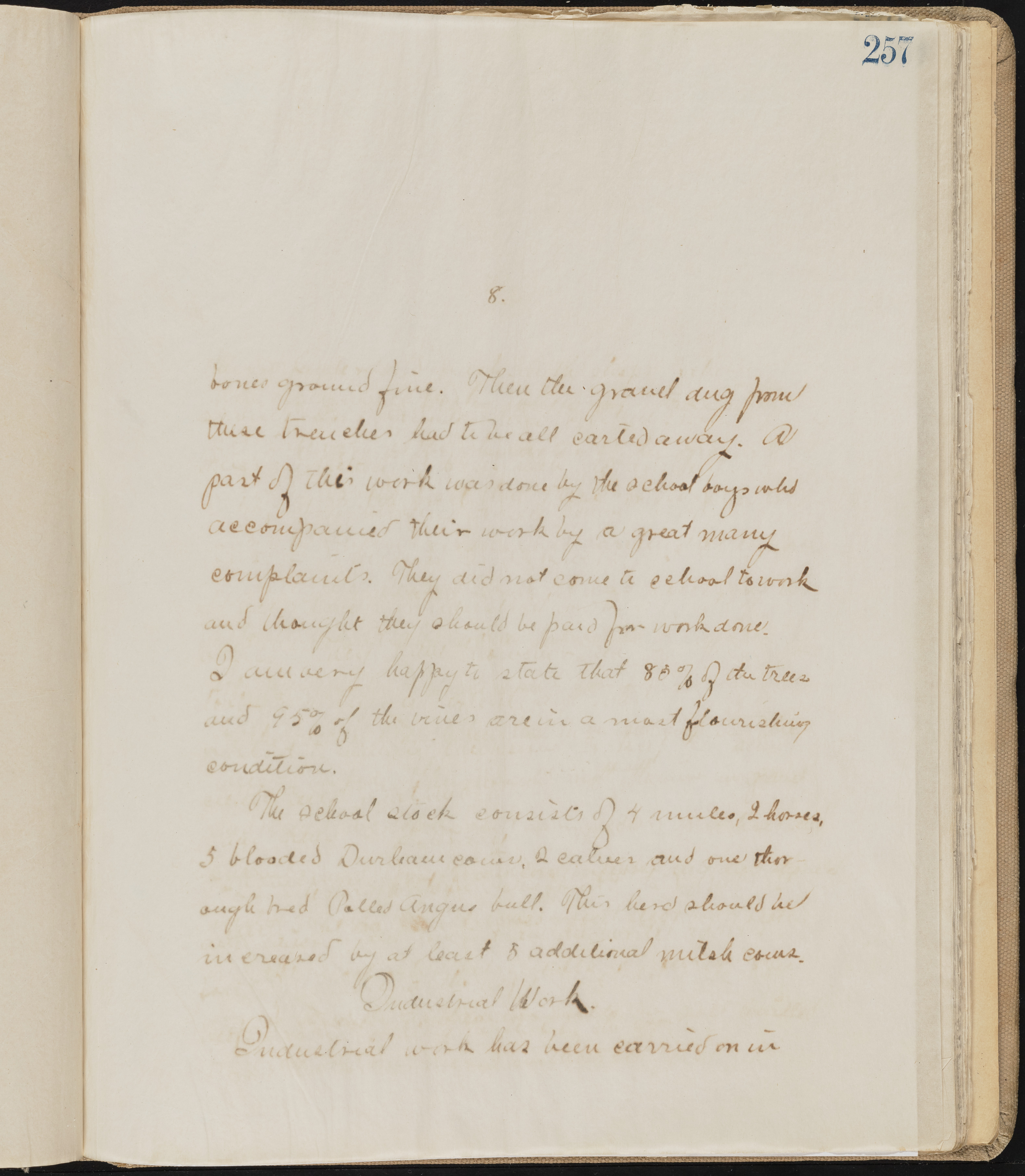 Fort Mojave Industrial School correspondence, administrative and financial information, image 216