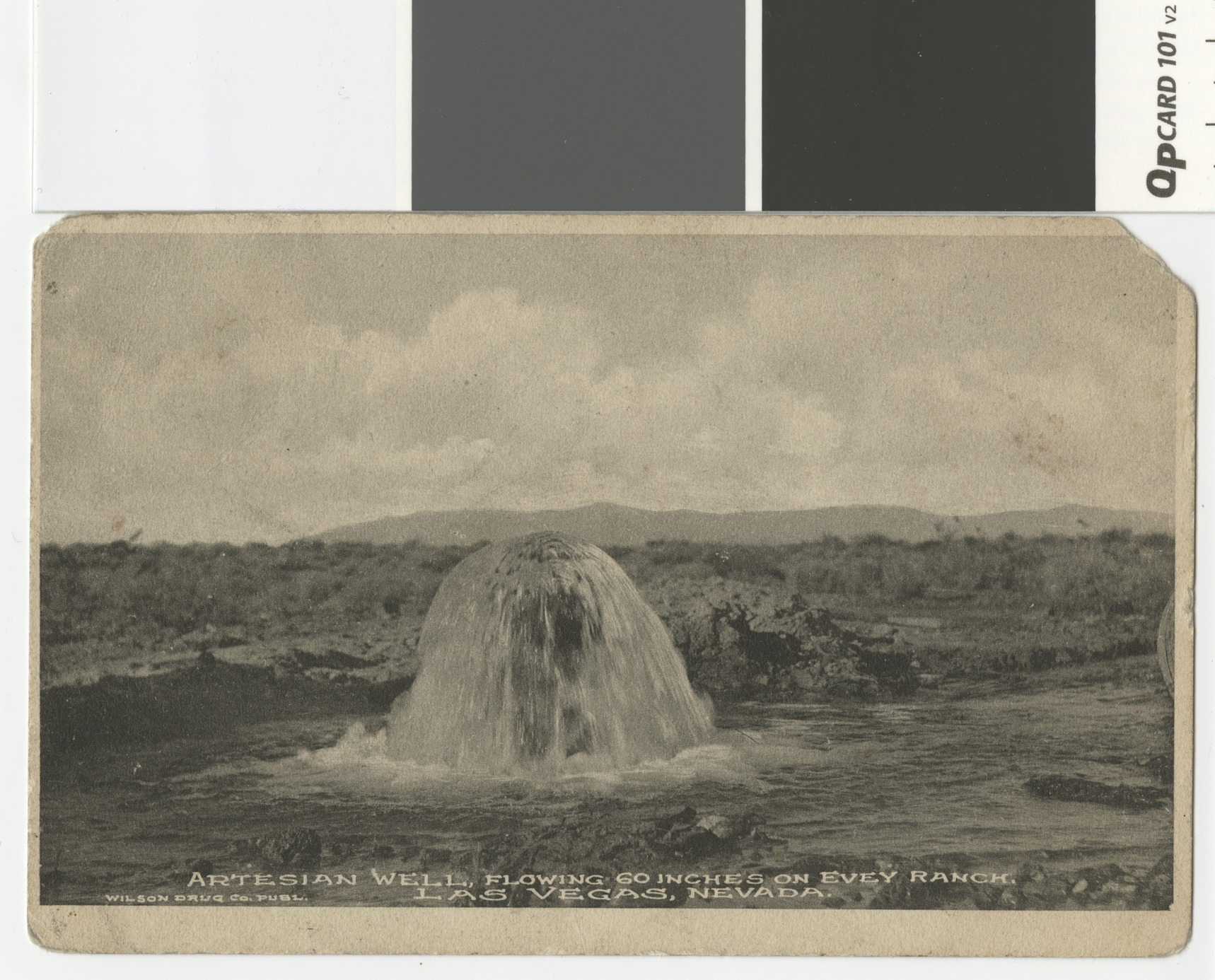 hln000193-001