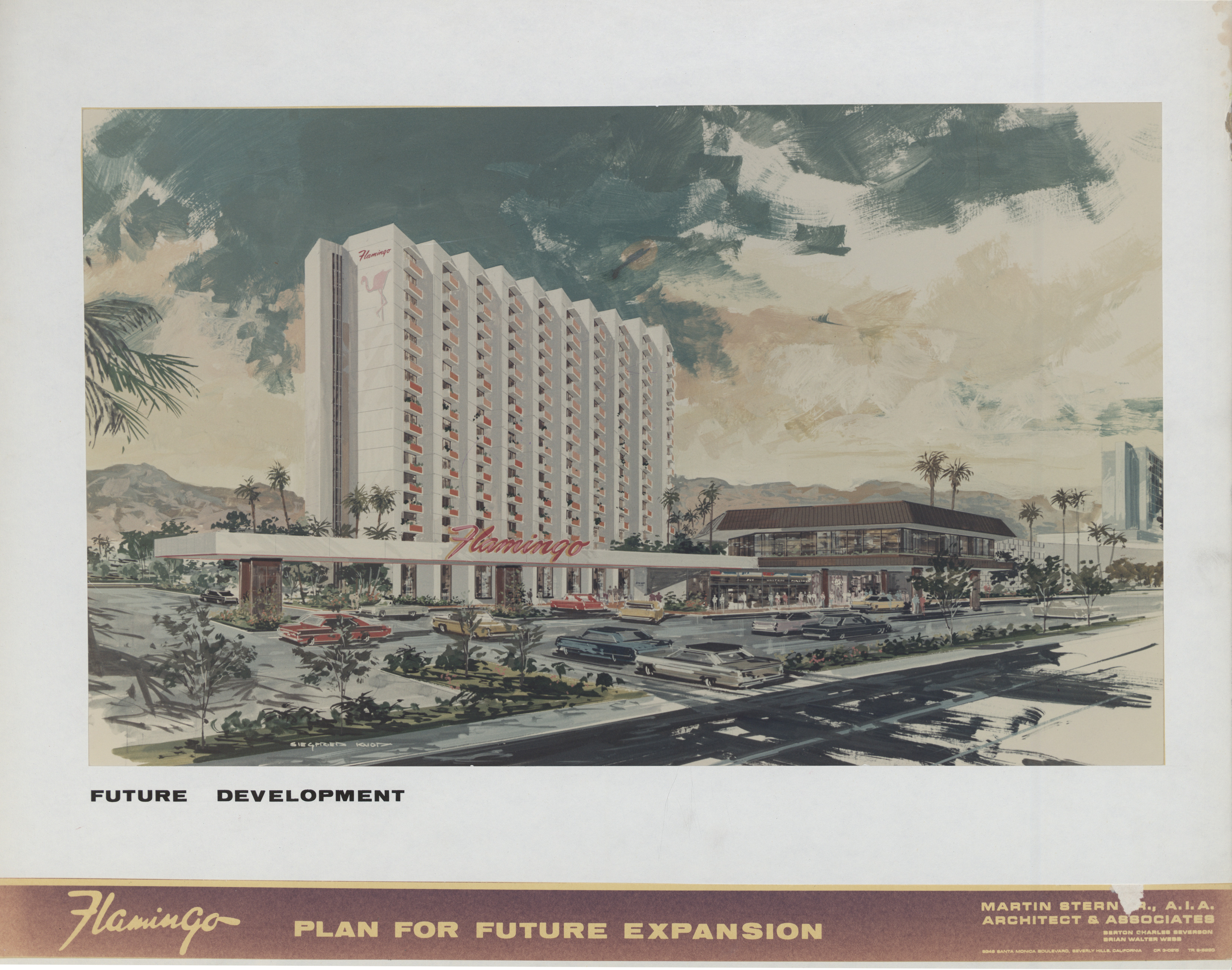 Flamingo Plan for Future Expansion Proposal, front cover
