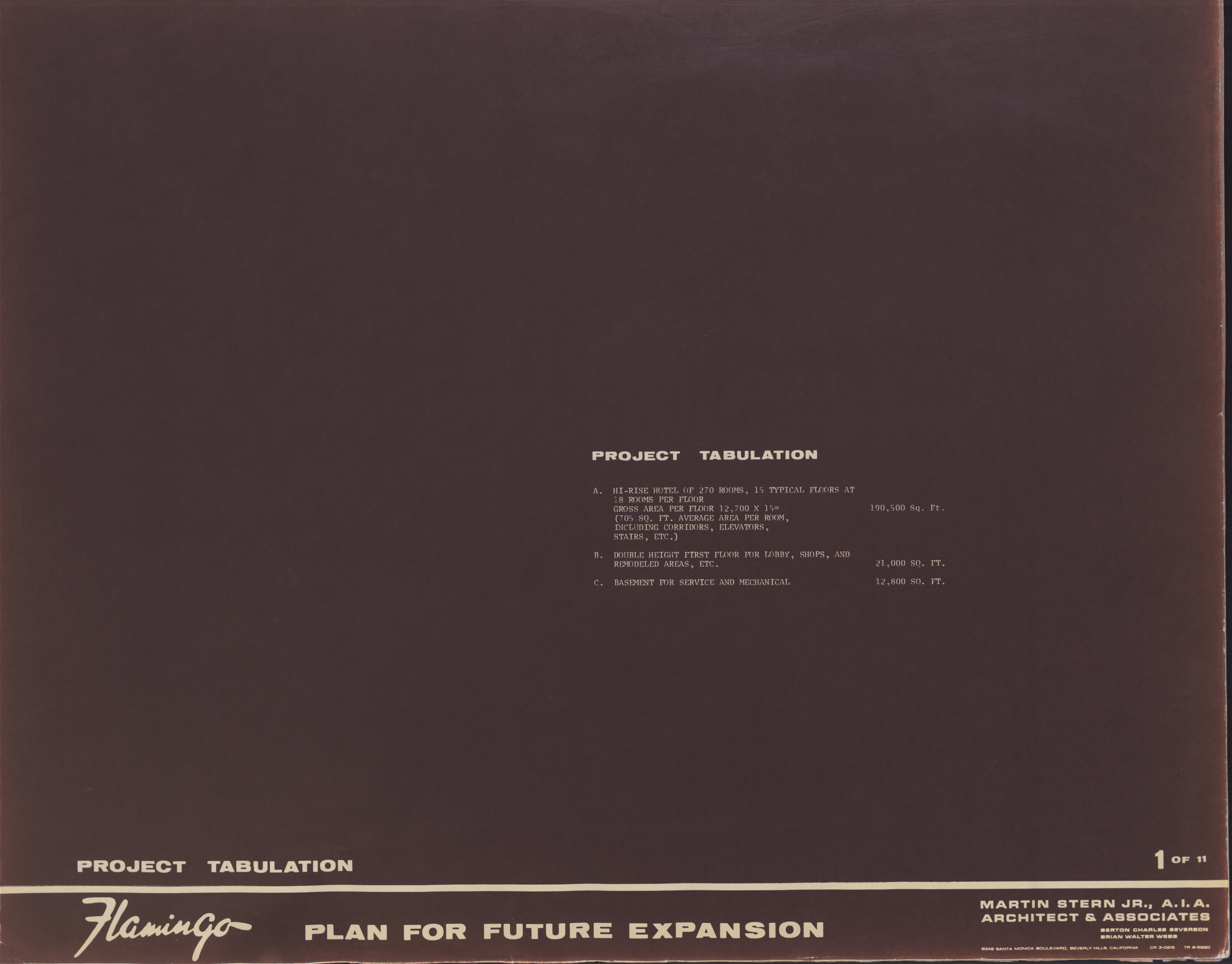 Flamingo Plan for Future Expansion Proposal, image 1